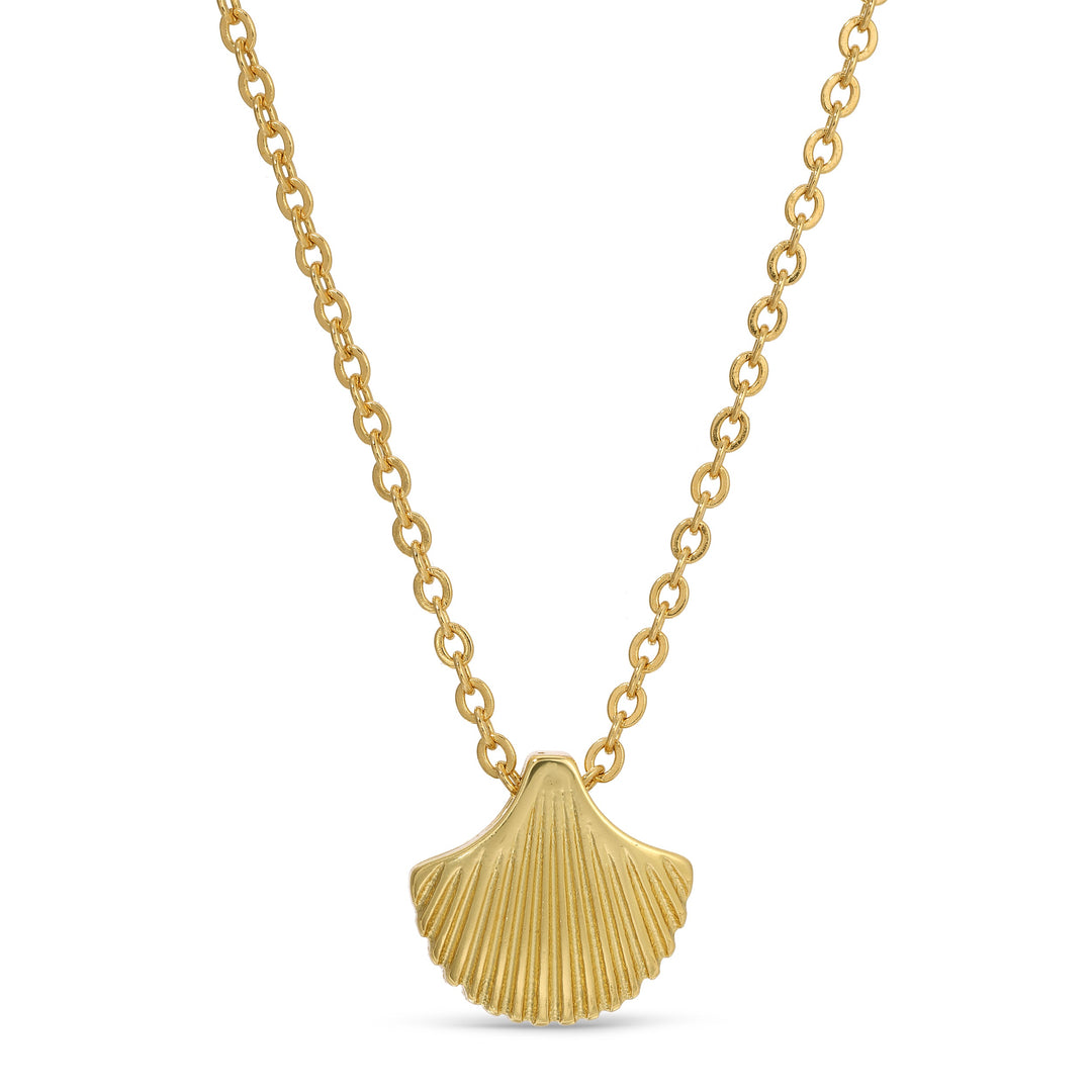 Shell Necklace