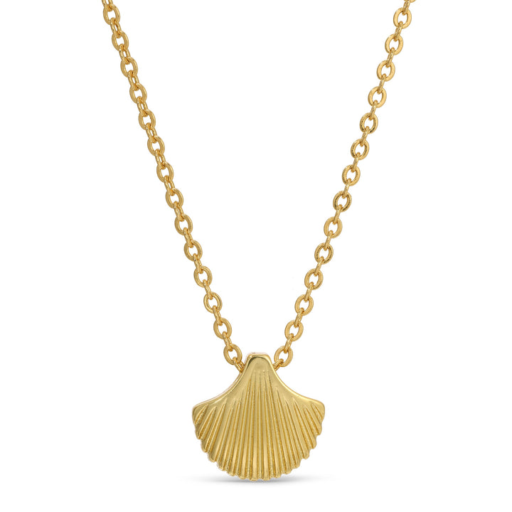 Shell Necklace