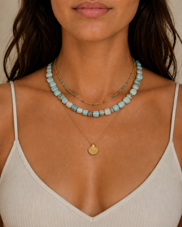 Shell Necklace